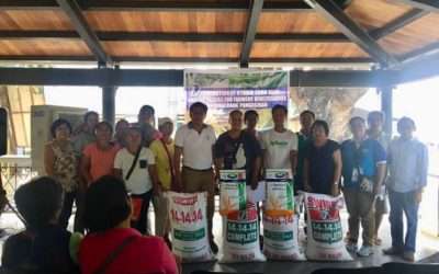 Department of Agriculture Binalonan distributes fertilizer, hybrid corn seeds