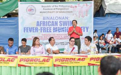 Binalonan officials dismiss ASF threat through pork boodle fight